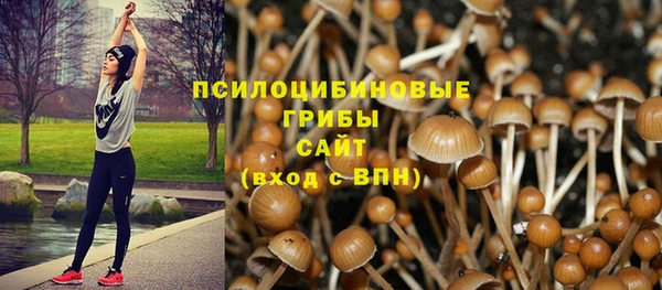2c-b Алексеевка