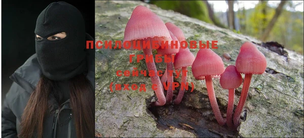 тгк Абинск