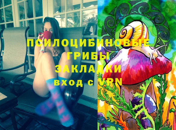 метадон Алексин